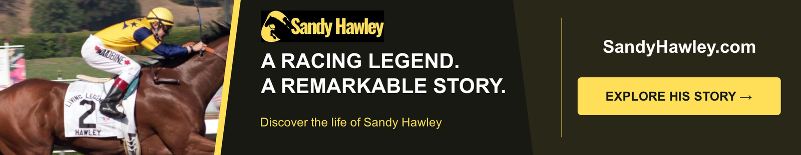 Sandy Hawley — Wide 1983 × 385